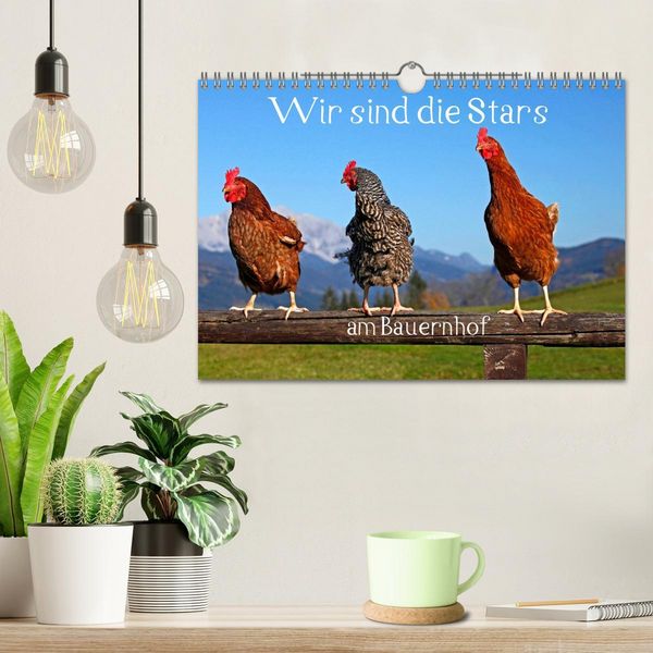 Produktbild: Wir sind die Stars am Bauernhof (Wandkalender 2026 DIN A4 quer), CALVENDO Monatskalender