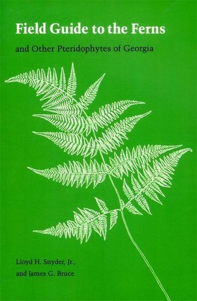 Produktbild: Field Guide to the Ferns
