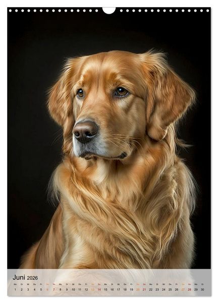 Produktbild: Golden Retriever - ein Hund f&uuml;r die Familie (Wandkalender 2026 DIN A3 hoch), CALVENDO Monatskalender