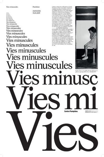 Produktbild: Vies Minuscules Journal - Illustrations, Couleur