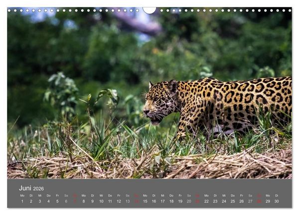 Produktbild: Brasilien 2026 abseits von Rio (Wandkalender 2026 DIN A3 quer), CALVENDO Monatskalender