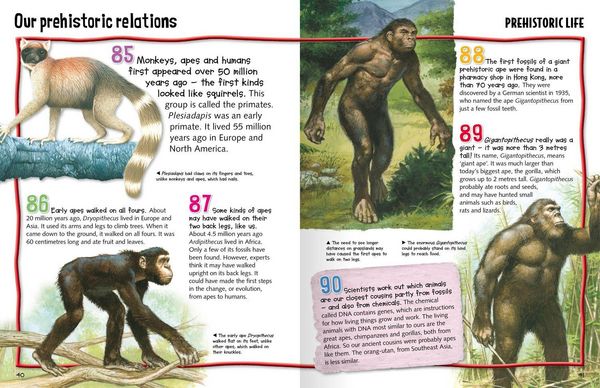 Produktbild: Wild About Dinosaurs