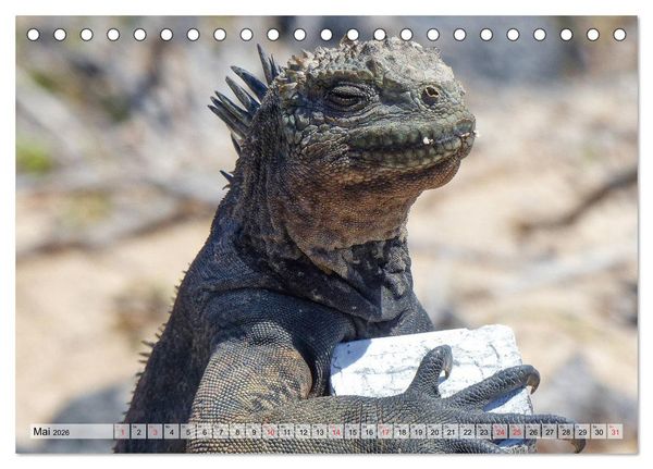 Produktbild: Die Galapagosinseln - Santa Cruz Island (Tischkalender 2026 DIN A5 quer), CALVENDO Monatskalender