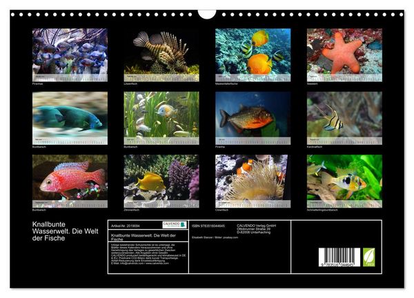 Produktbild: Knallbunte Wasserwelt. Die Welt der Fische (Wandkalender 2026 DIN A3 quer), CALVENDO Monatskalender