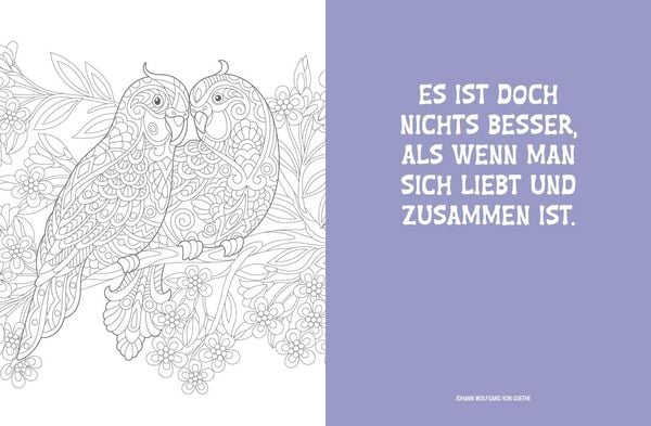 Produktbild: Colorful Mandala &ndash; Tierisch verliebt