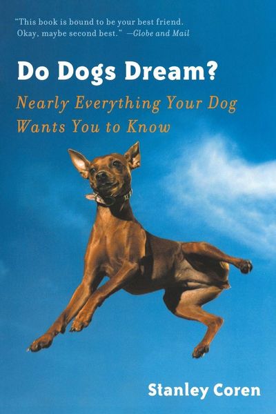 Produktbild: Do Dogs Dream?