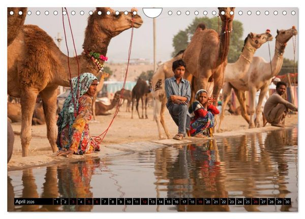 Produktbild: Rajasthan, Indien - Pushkar Mela (Wandkalender 2026 DIN A4 quer), CALVENDO Monatskalender