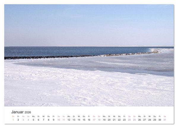 Produktbild: Hamburger Hallig - Der Weg ist das Ziel (Wandkalender 2026 DIN A4 quer), CALVENDO Monatskalender