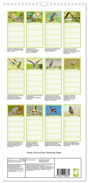 Produktbild: Familienplaner 2026 - Amsel, Fink und Star: Heimische V&ouml;gel mit 5 Spalten (Wandkalender, 21 x 45 cm) CALVENDO