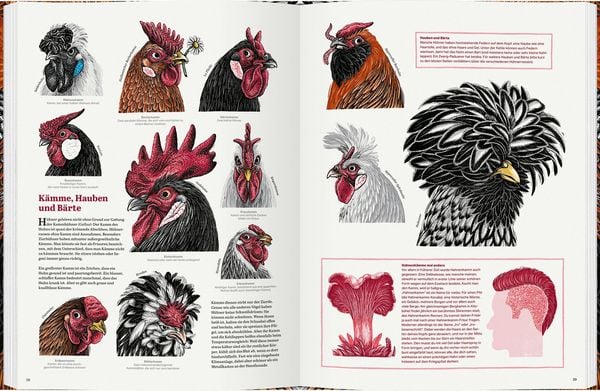Produktbild: Das gro&szlig;e Buch der H&uuml;hner