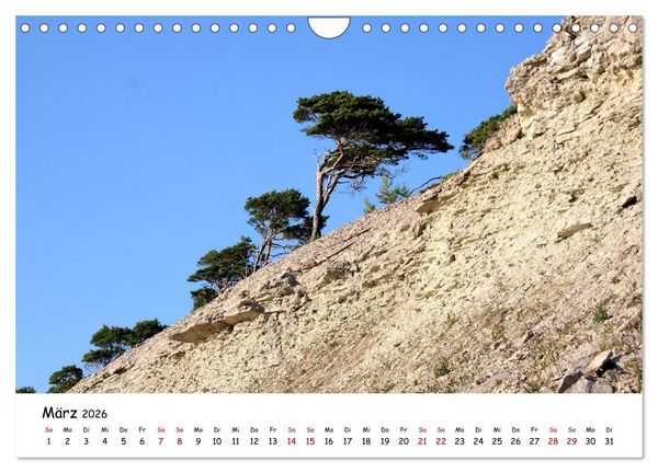 Produktbild: Gotland Impressionen (Wandkalender 2026 DIN A4 quer), CALVENDO Monatskalender