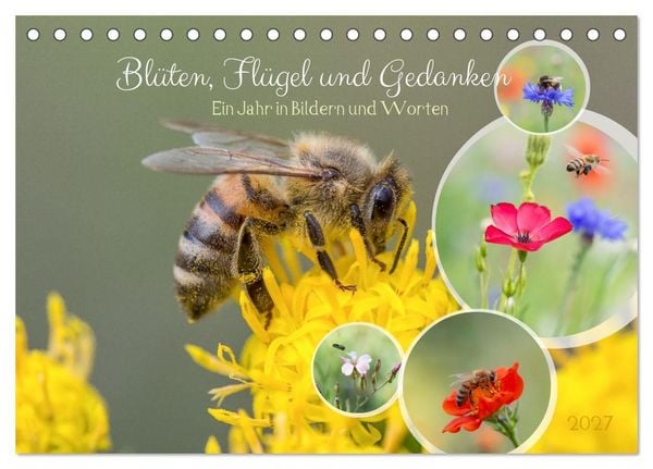 Produktbild: Bl&uuml;ten,Fl&uuml;gel und Gedanken &ndash; Ein Jahr in Bildern und Worten (Tischkalender 2027 DIN A5 quer), CALVENDO Monatskalender