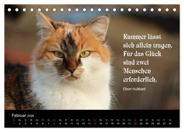 Produktbild: Gl&uuml;ckskatze - Mit Zitaten zum Thema Gl&uuml;ck (Tischkalender 2026 DIN A5 quer), CALVENDO Monatskalender