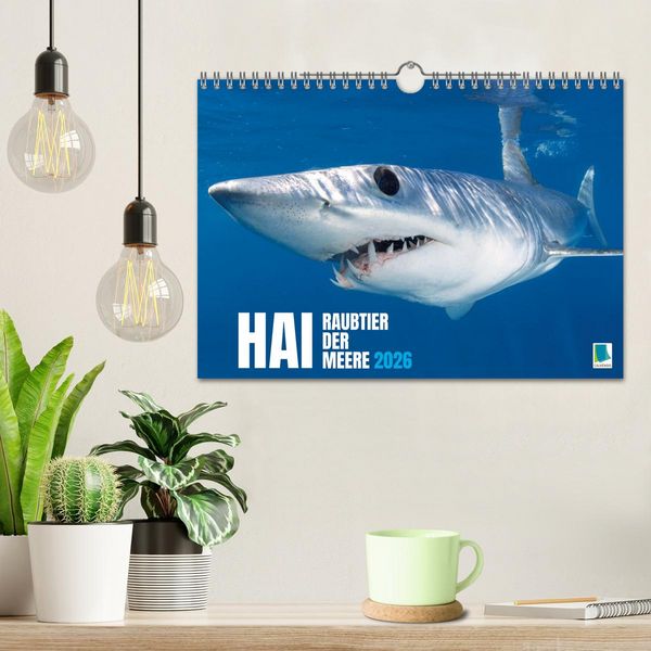 Produktbild: Hai: Raubtier der Meere (Wandkalender 2026 DIN A4 quer), CALVENDO Monatskalender