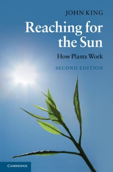 Produktbild: Reaching for the Sun