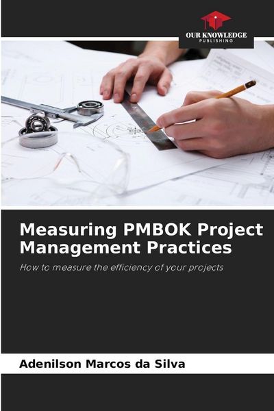 Produktbild: Measuring PMBOK Project Management Practices