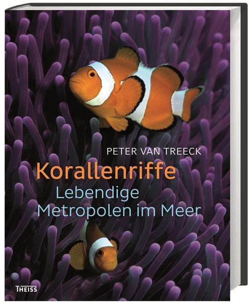 Produktbild: Korallenriffe