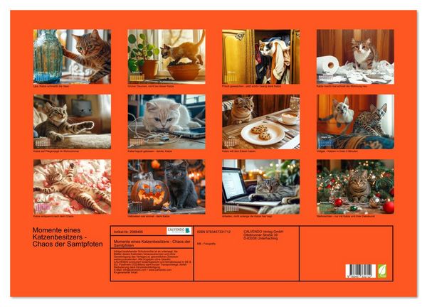 Produktbild: Momente eines Katzenbesitzers - Chaos der Samtpfoten (Wandkalender 2026 DIN A2 quer), CALVENDO Monatskalender