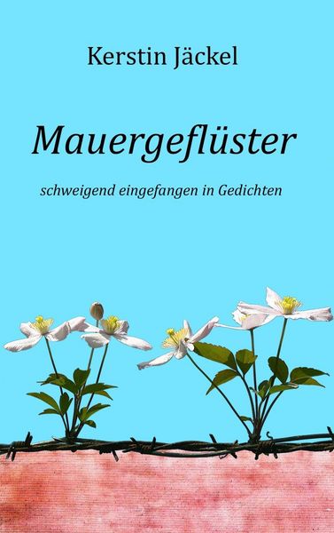Produktbild: Mauergefl&uuml;ster