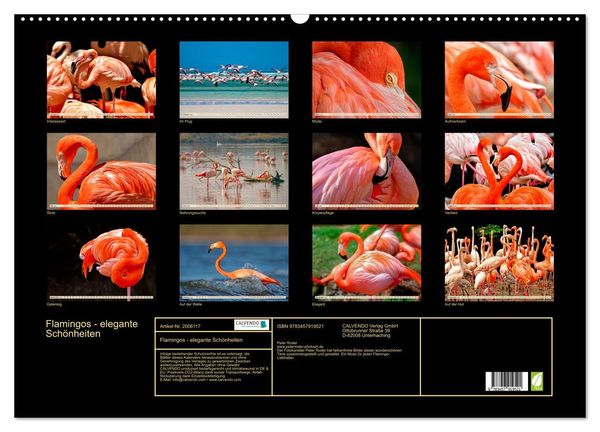 Produktbild: Flamingos - elegante Sch&ouml;nheiten (Wandkalender 2026 DIN A2 quer), CALVENDO Monatskalender