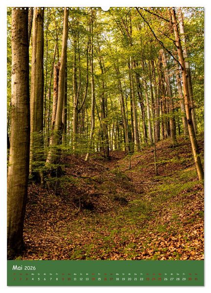 Produktbild: Ich bin dann mal im Wald (Wandkalender 2026 DIN A2 hoch), CALVENDO Monatskalender