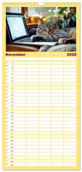 Produktbild: Familienplaner 2026 - Momente eines Katzenbesitzers - Chaos der Samtpfoten mit 5 Spalten (Wandkalender, 21 x 45 cm) CALVENDO