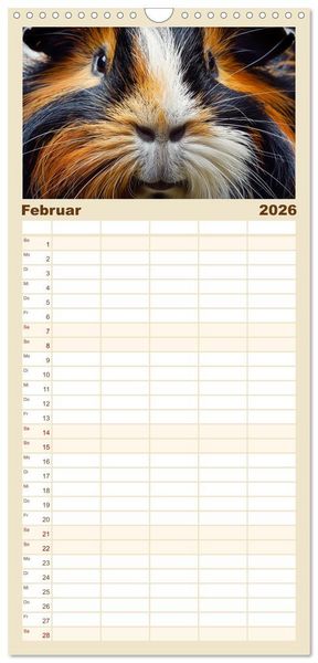 Produktbild: Familienplaner 2026 - Wuschelbande - Ein Jahr voller Meerschweinchen mit 5 Spalten (Wandkalender, 21 x 45 cm) CALVENDO