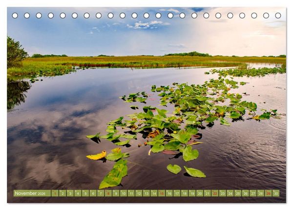 Produktbild: Florida - Sonnige Str&auml;nde und magische S&uuml;mpfe (Tischkalender 2026 DIN A5 quer), CALVENDO Monatskalender