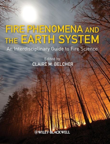 Produktbild: Fire Phenomena and the Earth System