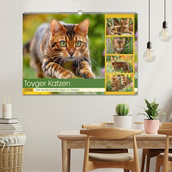 Produktbild: Toyger Katzen. Der exotische Mini-Tiger im Garten (Wandkalender 2026 DIN A2 quer), CALVENDO Monatskalender