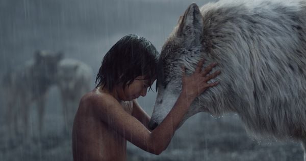 Produktbild: The Jungle Book (4K Ultra HD) (+ Blu-ray 2D)