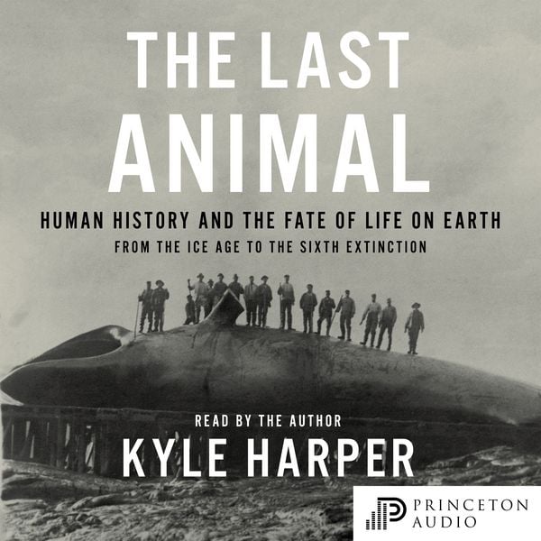 Produktbild: The Last Animal
