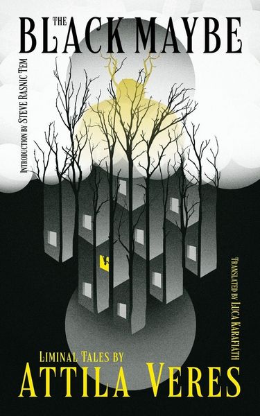Produktbild: The Black Maybe