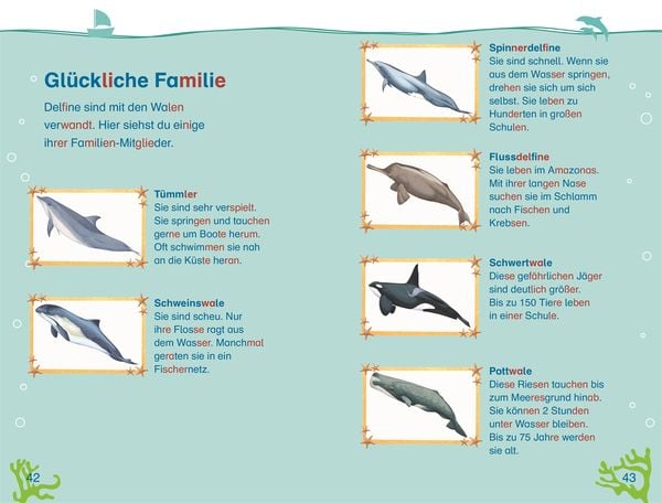 Produktbild: SUPERLESER! Wo bist du, kleiner Delfin?