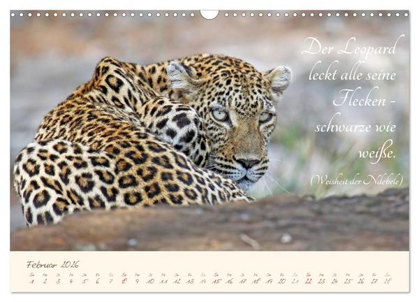 Produktbild: AFRIKA mit einem Hauch von Poesie (Wandkalender 2026 DIN A3 quer), CALVENDO Monatskalender