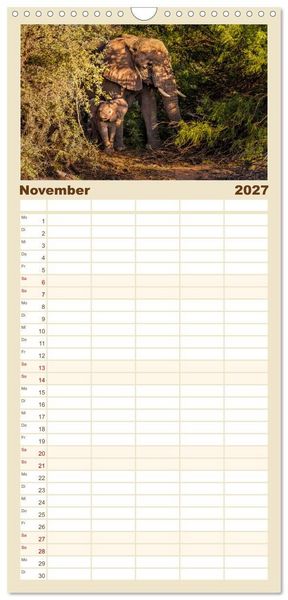 Produktbild: Familienplaner 2027 - Namibias faszinierende Tierwelt mit 5 Spalten (Wandkalender, 21 x 45 cm) CALVENDO