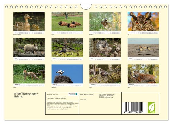 Produktbild: Wilde Tiere unserer Heimat (Wandkalender 2026 DIN A4 quer), CALVENDO Monatskalender