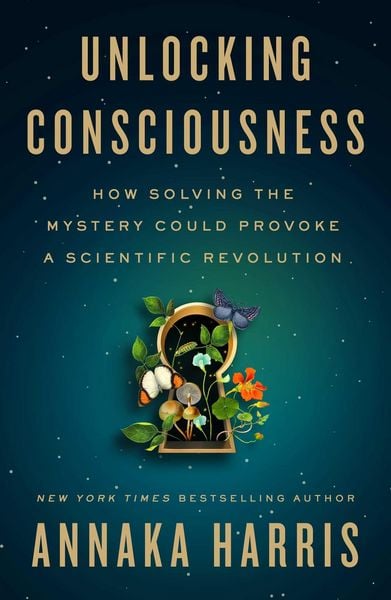 Produktbild: Unlocking Consciousness