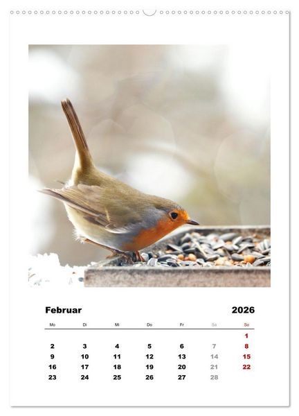 Produktbild: Rotkehlchen, s&uuml;&szlig;e kleine Knutschkugeln (Wandkalender 2026 DIN A2 hoch), CALVENDO Monatskalender