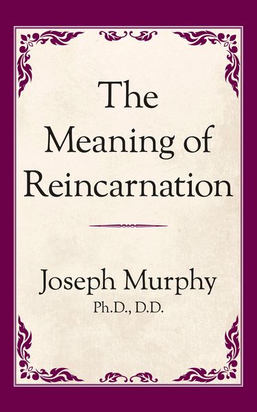 Produktbild: The Meaning of Reincarnation