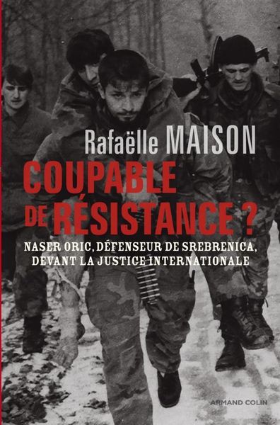 Produktbild: Coupable de resistance ?