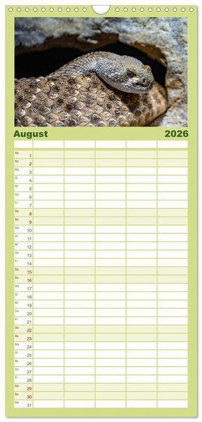 Produktbild: Familienplaner 2026 - Reptilien & Amphibien Portraits mit 5 Spalten (Wandkalender, 21 x 45 cm) CALVENDO
