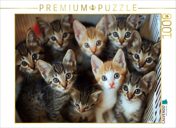 Produktbild: CALVENDO Puzzle K&auml;tzchen - kuschliger Haufen | 1000 Teile Lege-Gr&ouml;&szlig;e 64x48cm Foto-Puzzle f&uuml;r gl&uuml;ckliche Stunden