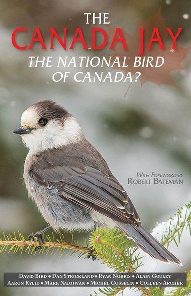 Produktbild: The Canada Jay