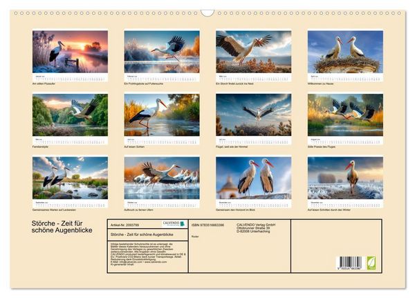 Produktbild: St&ouml;rche - Zeit f&uuml;r sch&ouml;ne Augenblicke (Wandkalender 2026 DIN A2 quer), CALVENDO Monatskalender