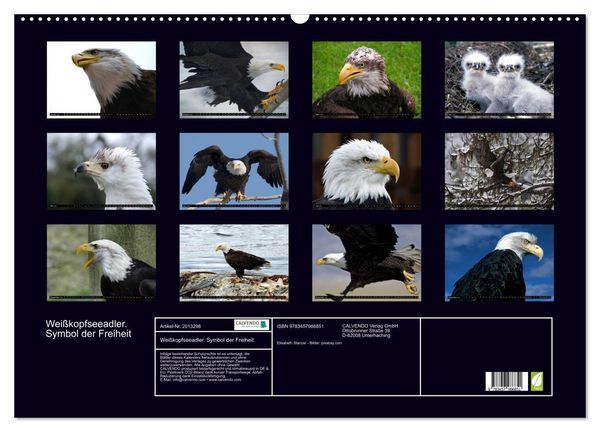 Produktbild: Wei&szlig;kopfseeadler. Symbol der Freiheit (Wandkalender 2026 DIN A2 quer), CALVENDO Monatskalender