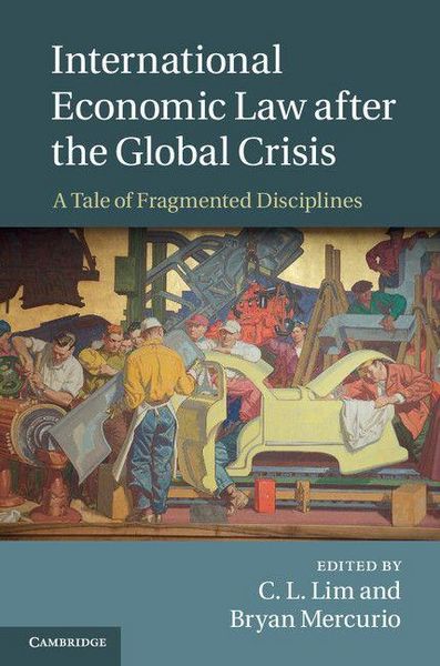 Produktbild: International Economic Law after the Global Crisis