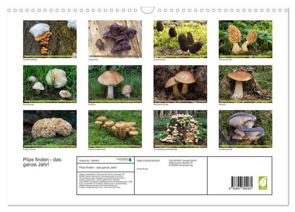 Produktbild: Pilze finden - das ganze Jahr! (Wandkalender 2026 DIN A3 quer), CALVENDO Monatskalender