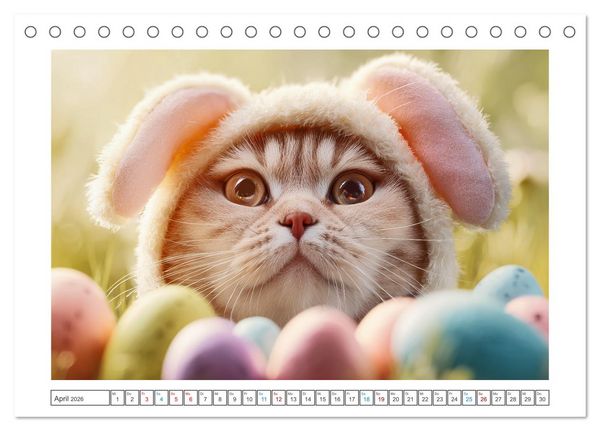 Produktbild: Miau mit Stil (Tischkalender 2026 DIN A5 quer), CALVENDO Monatskalender