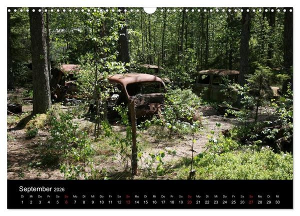 Produktbild: Schrottautos im Kyrk&ouml; Mosse (Wandkalender 2026 DIN A3 quer), CALVENDO Monatskalender
